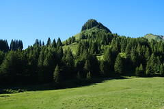 Praz-de-Lys - Sommand