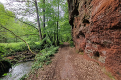 Kollesleuker Schweiz