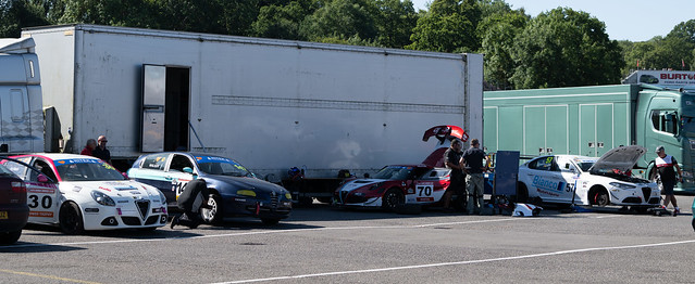 Alfa Romeo Championship - Brands Hatch 2024