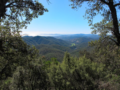 Südfrankreich_2024_207