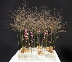 Ikebana de l'École Misho (Maison de la Culture du Japon, Paris)