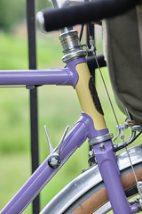 *CRUST BIKES* romanceur canti