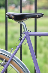 *CRUST BIKES* romanceur canti