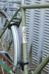 *RIVENDELL* joe appaloosa frame set