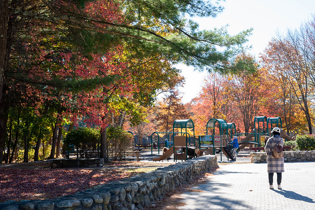 The Houghton Pond playground.