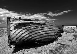 Dungeness