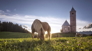 Alpine Idyll