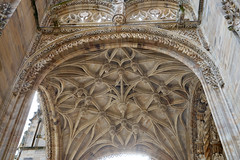 7718 Cathédrale Sainte-Cécile d'Albi