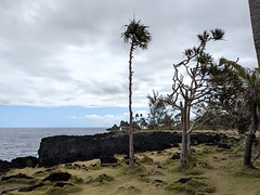 LE CAP MÉCHANT (3)