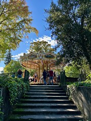 Magical merry go round in the park