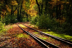 Autumn Photowalk @ Tëtelbierg - Train 1900 Railway