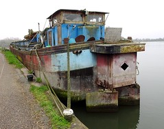 Bauvin.- la péniche Cripayo sur le canal de la Deûle