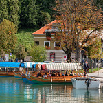 Lake Bled