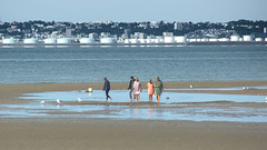 Plage de Trouville