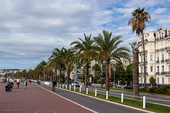 The palm tree-lined seafront in Nice