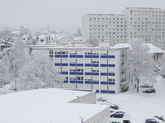 Nancy sous la neige