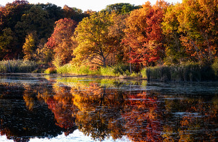 reflections on a river