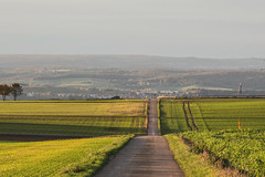 Golden hour path to serenity