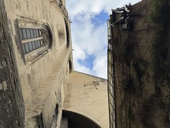 Rue Peyrollerie, Avignon