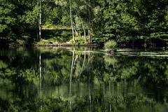 Ariège: morning light