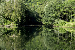 Ariège: morning light