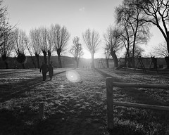 Photo Beaufort-en-Vallée