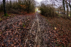 Luxembourg’s Autopédestre path