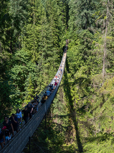 20240705 - Capilano Suspension Bridge - 4