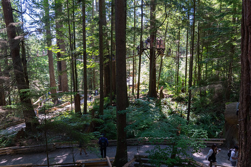 20240705 - Capilano Suspension Bridge - 17