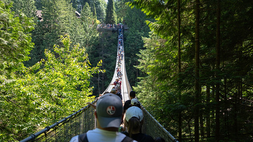 20240705 - Capilano Suspension Bridge - 27