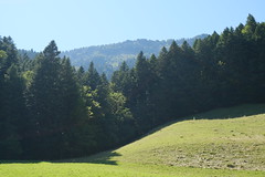 Aillon-le-Jeune