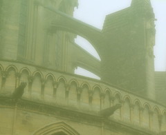 Misty Flying Buttress