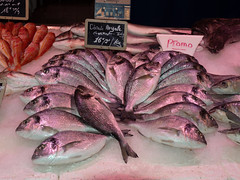 fish at Marché des Capucins