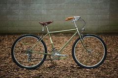 *RIVENDELL* joe appaloosa