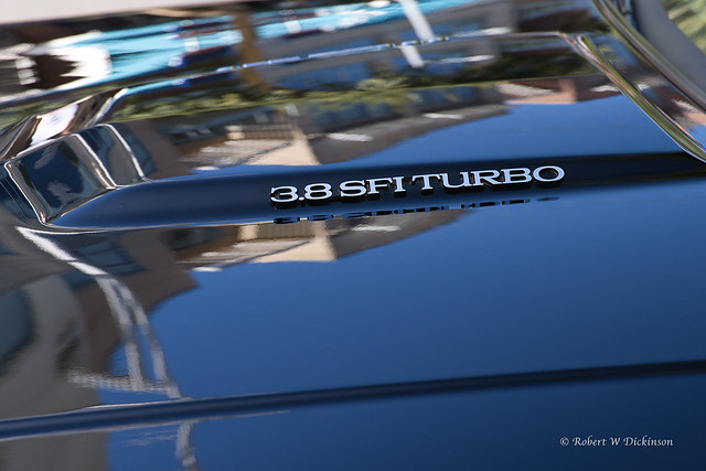 GM 3.8 Turbo Hood