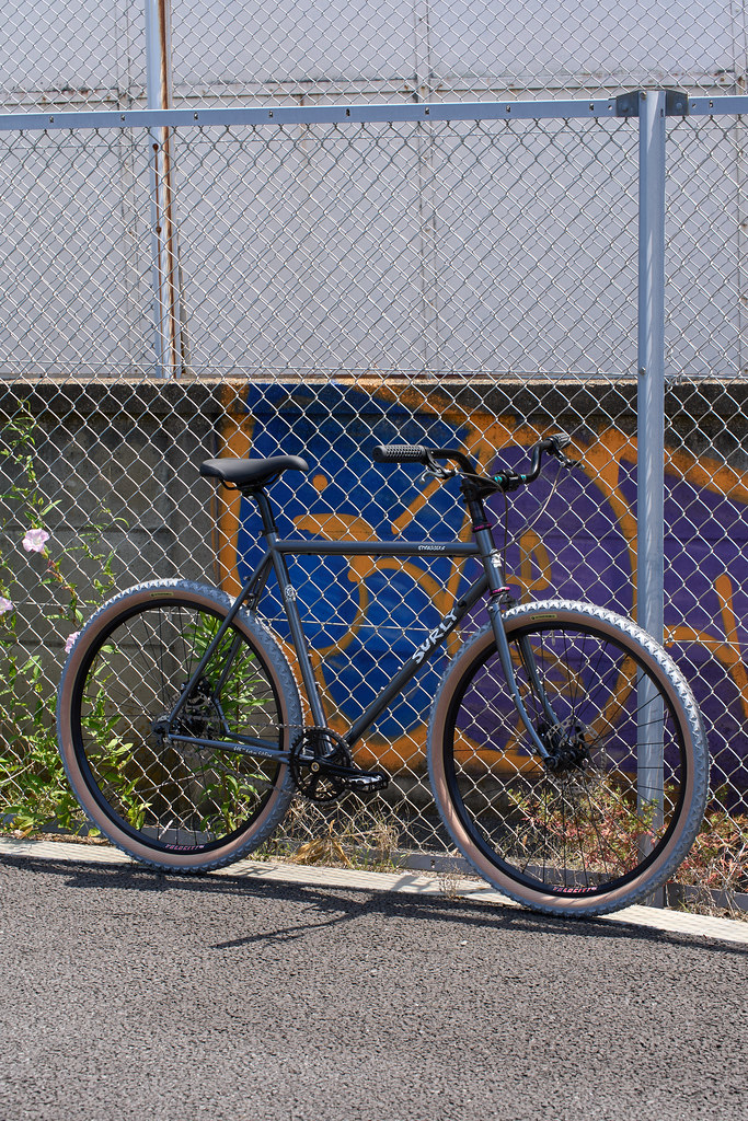 *SURLY* straggler