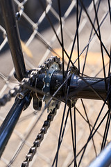*SURLY* straggler