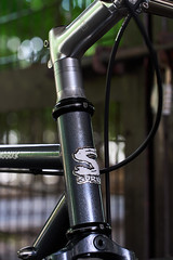 *SURLY* straggler