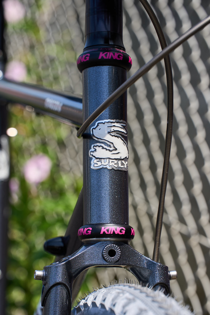 *SURLY* straggler