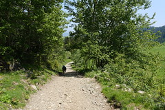 Plateau de Beauregard @ Thônes