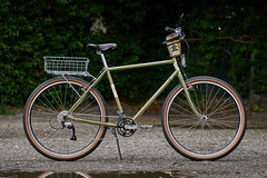 *RIVENDELL* joe appaloosa