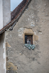 Cornac