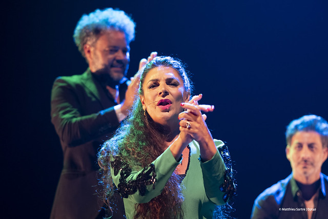 Arte Flamenco - Manuela Carrasco