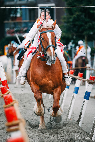 _60A8010 | Ringrijden Zeeuwskampioenschap Middelburg 2026
