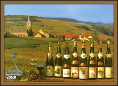 0796 R Cernay Alzas Cépages d'Alsace Pinot Noir Sylvaner Riesling Gewurztraminer Muscat Pinot Blanc  EB 1162 Pierron Photo  Y. Noto-Campanella 25.VI.1987.